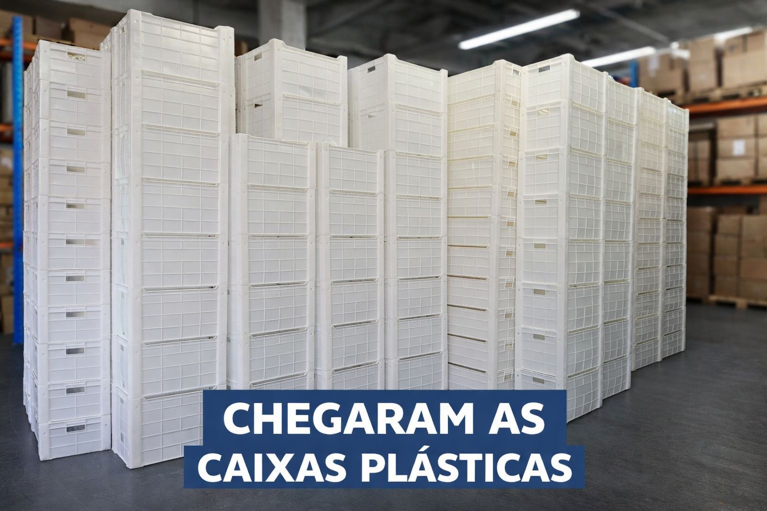CAIXA PLÁSTICAS